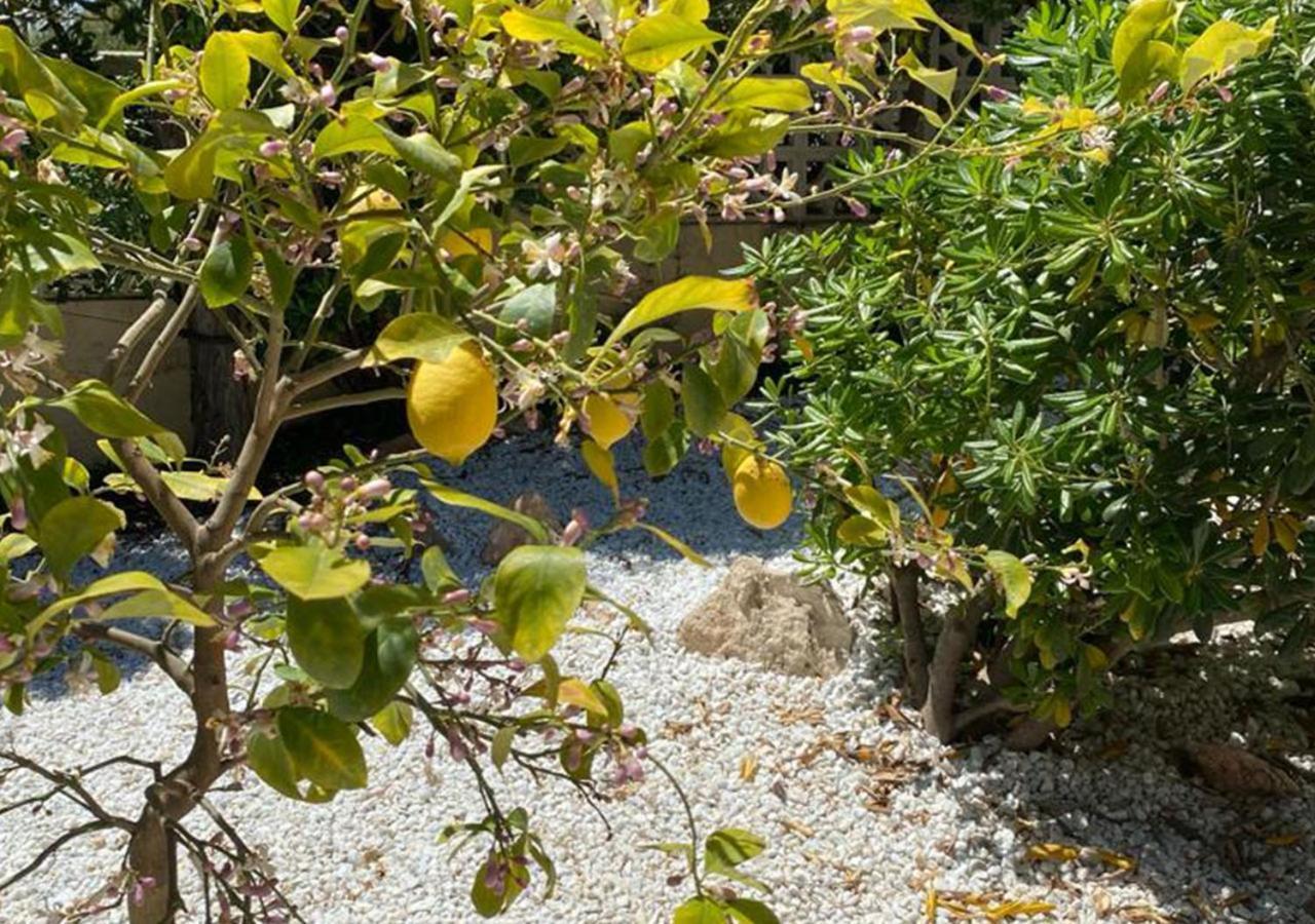 Holiday Villa مورايرا المظهر الخارجي الصورة